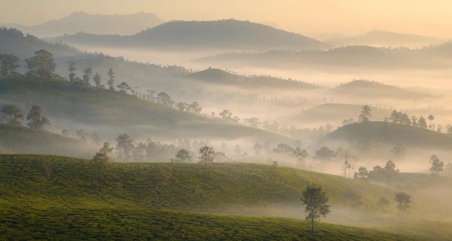 Travel scenery of Sri Lanka scenery