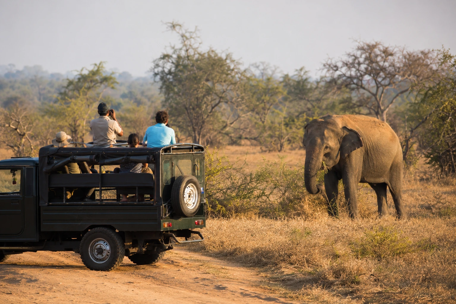 Travel scenery of Yala & Wildlife Safaris
